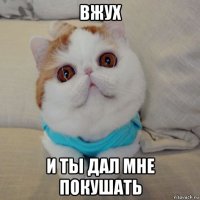 вжух и ты дал мне покушать