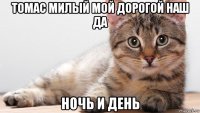 томас милый мой дорогой наш да ночь и день