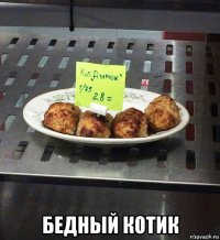  бедный котик