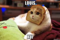 louis хui