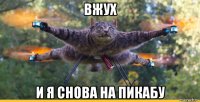 вжух и я снова на пикабу