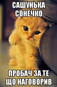 сашунька сонечко пробач за те що наговорив
