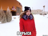  я крыса
