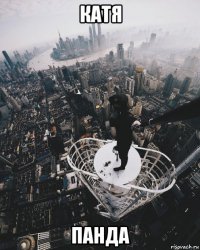 катя панда