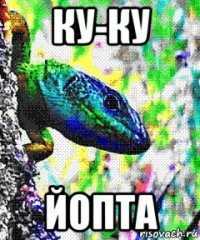 ку-ку йопта