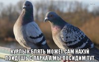  курлык блять может сам нахуй поидешь с парка а мы посидим тут