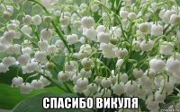  спасибо викуля