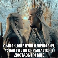  сынок, мне нужен янукович, узнай где он скрывается и доставь его мне