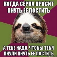 когда серна просит пнуть ее постить а тебе надо, чтобы тебя пнули пнуть ее постить