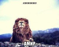 ~~~~~ ~~амир~~