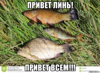 привет линь! привет всем!!!