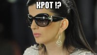 крот !? 