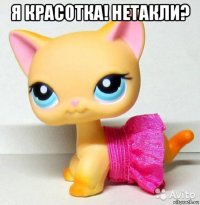я красотка! нетакли? 
