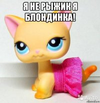 я не рыжик я блондинка! 
