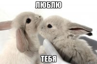 люблю тебя