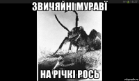 звичяйні муравї на річкі рось