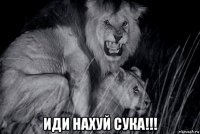  иди нахуй сука!!!