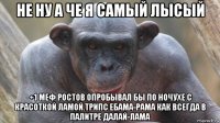 не ну а че я самый лысый +1 меф ростов опробывал бы по ночухе с красоткой ламой.трипс ебама-рама как всегда в палитре далай-лама