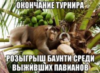 окончание турнира розыгрыш баунти среди выживших павианов