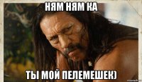 ням ням ка ты мой пелемешек)