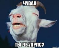чувак ты че упрлс?
