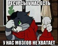 ресурсы у нас есть у нас мозгов не хватает