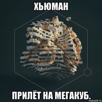 хьюман прилёт на мегакуб.