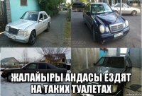  жалайыры андасы ездят на таких туалетах