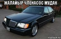 жалайыр членасос мудак 