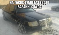 на таких туалетах ездят бараны с аула 