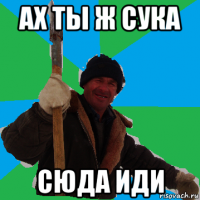 ах ты ж сука сюда иди