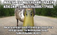 мартак. ты маленький? хадзи илюзия. тымаленький? грива. писить хочеш? ааа!!! что хочеш? аааа!!! что хочеш? кака. ты маленький? кака. тымаленький? нехочу