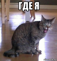 где я 