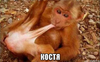  костя