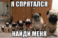я спрятался найди меня