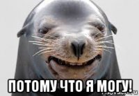  потому что я могу!