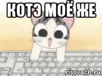 котэ моё же 