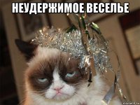 неудержимое веселье 
