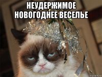 неудержимое новогоднее веселье 