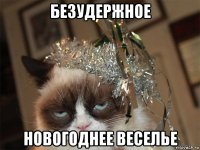 безудержное новогоднее веселье