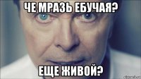 че мразь ебучая? еще живой?