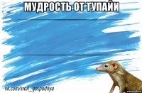 мудрость от тупайи 