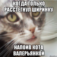 когда только расстегнул ширинку напоив кота валерьянкой