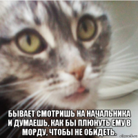  бывает смотришь на начальника и думаешь, как бы плюнуть ему в морду, чтобы не обидеть.
