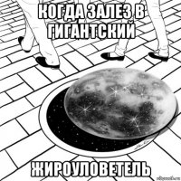 когда залез в гигантский жироуловетель