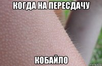 когда на пересдачу кобайло