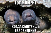 тот момент когда смотришь евровидение