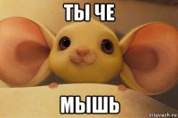 ты че мышь