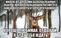 милый, я с друзьями была последнюю неделю, на связь не выходила потому что нам надо отдохнуть от друг друга немного хорошо любимая, отдыхай, я буду тебя ждать
