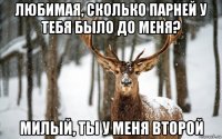 любимая, сколько парней у тебя было до меня? милый, ты у меня второй